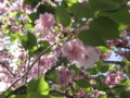 20100423020912