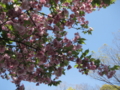 20100423020915