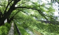 20100525055057