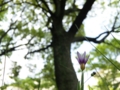20100525055640