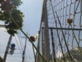 20100606021722
