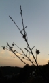 [周山街道]