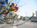 20110427022437