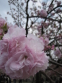 20120421165432