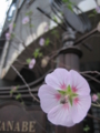 20120421165442