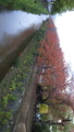 20121120063700