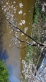 20130330120400
