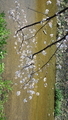 20130330120500
