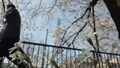 20130330121239