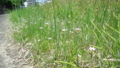20140507115128