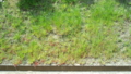 20140509104036