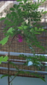 20150926092904