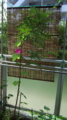 20150926093050