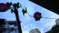 20151001081855