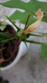 20151003232845