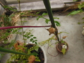 20151024033610