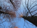 20160129104318 20160129104318