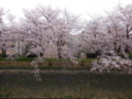 20160404223628