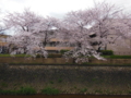 20160404223629
