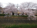 20160404223630
