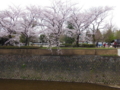 20160404225029