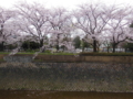 20160404225030