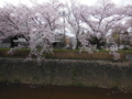 20160404225031
