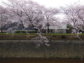 20160404225032