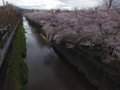 20160404225033