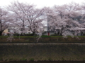 20160404225034