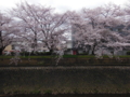 20160404225035