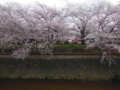 20160404225036
