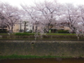 20160404225037