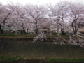 20160404225038