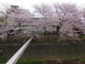20160404225039