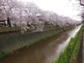 20160404225040