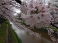 20160406231632