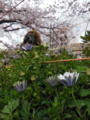 20160406231633