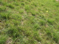 20160606180952