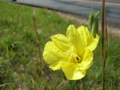 20160606180953