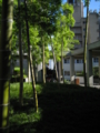 20160624211615