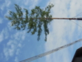 20160727071329
