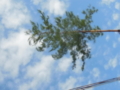 20160727071332