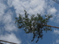 20160727071335