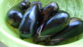 20160904072557