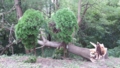 20160923104326 20160923104326
