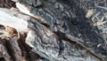 20160923104330 20160923104330