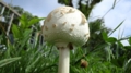 20160929144425