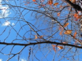 20161125201247 20161125201247