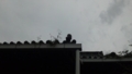20161222225139